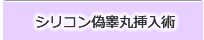 シリコン偽睾丸挿入術