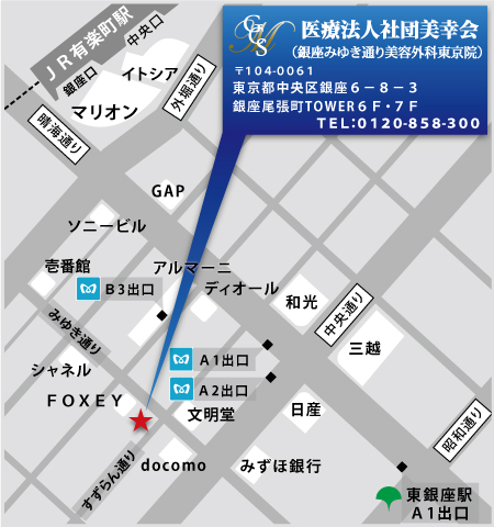 医療法人美幸会東京銀座院アクセスマップ